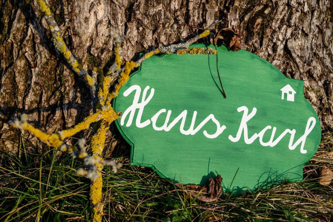 Haus Karl Apartment Ebensee Luaran gambar
